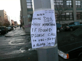white marthis, brooklyn